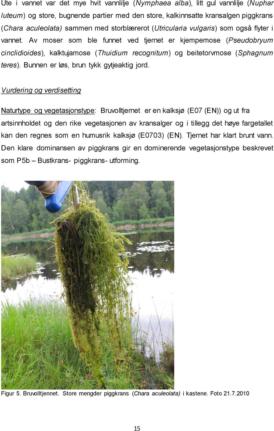 Av moser som ble funnet ved tjernet er kjempemose (Pseudobryum cinclidioides), kalktujamose (Thuidium recognitum) og beitetorvmose (Sphagnum teres). Bunnen er løs, brun tykk gytjeaktig jord.