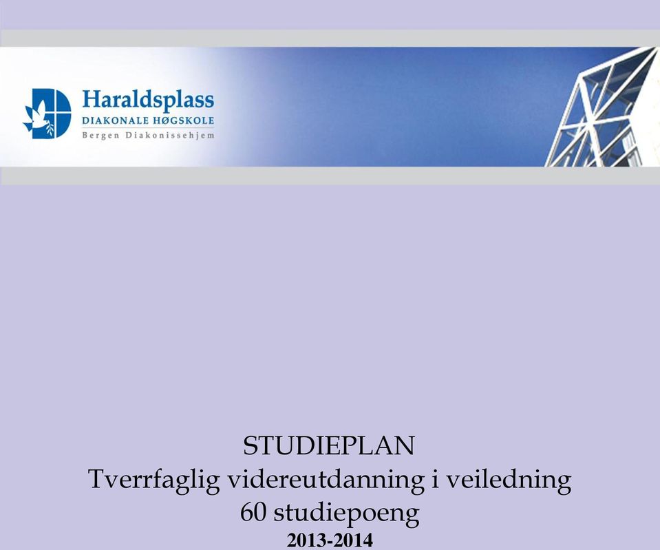 Studieplan Tverrfaglig videreutdanning