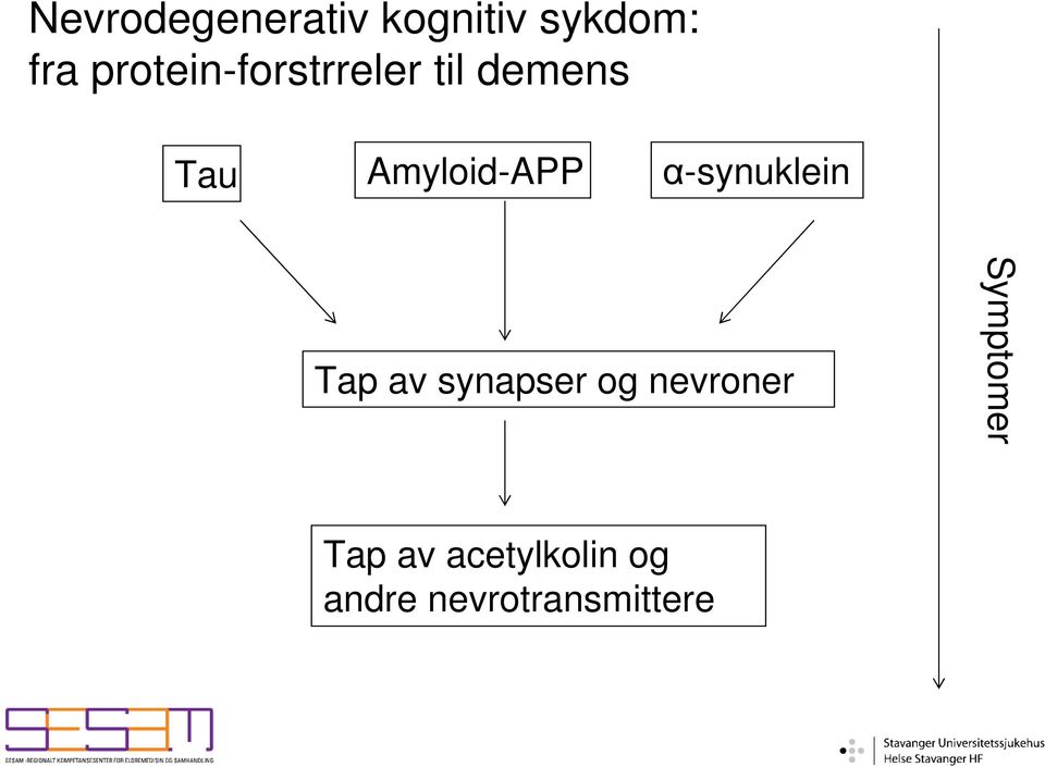 Amyloid-APP α-synuklein Tap av synapser og