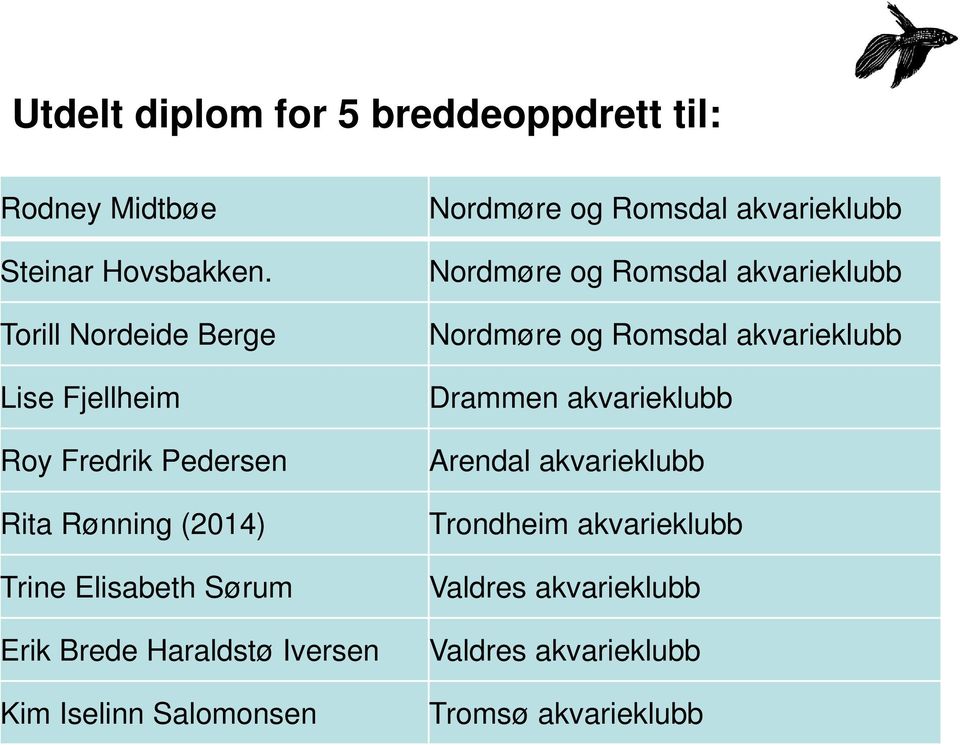 Haraldstø Iversen Kim Iselinn Salomonsen Nordmøre og Romsdal akvarieklubb Nordmøre og Romsdal akvarieklubb