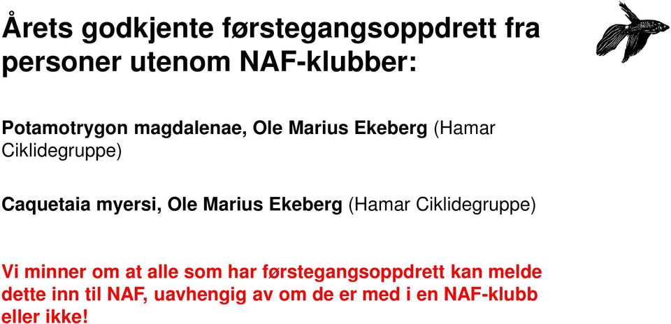 myersi, Ole Marius Ekeberg (Hamar Ciklidegruppe) Vi minner om at alle som har