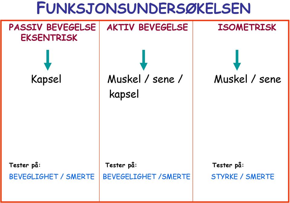 / Muskel / sene kapsel Tester på: Tester på: Tester