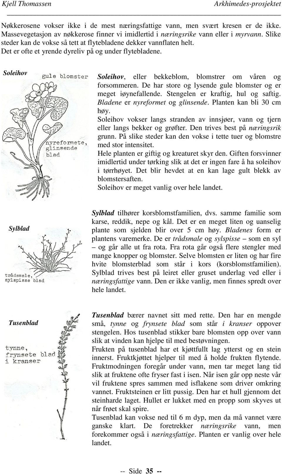 Det er ofte et yrende dyreliv på og under flytebladene. Soleihov Soleihov, eller bekkeblom, blomstrer om våren og forsommeren. De har store og lysende gule blomster og er meget iøynefallende.