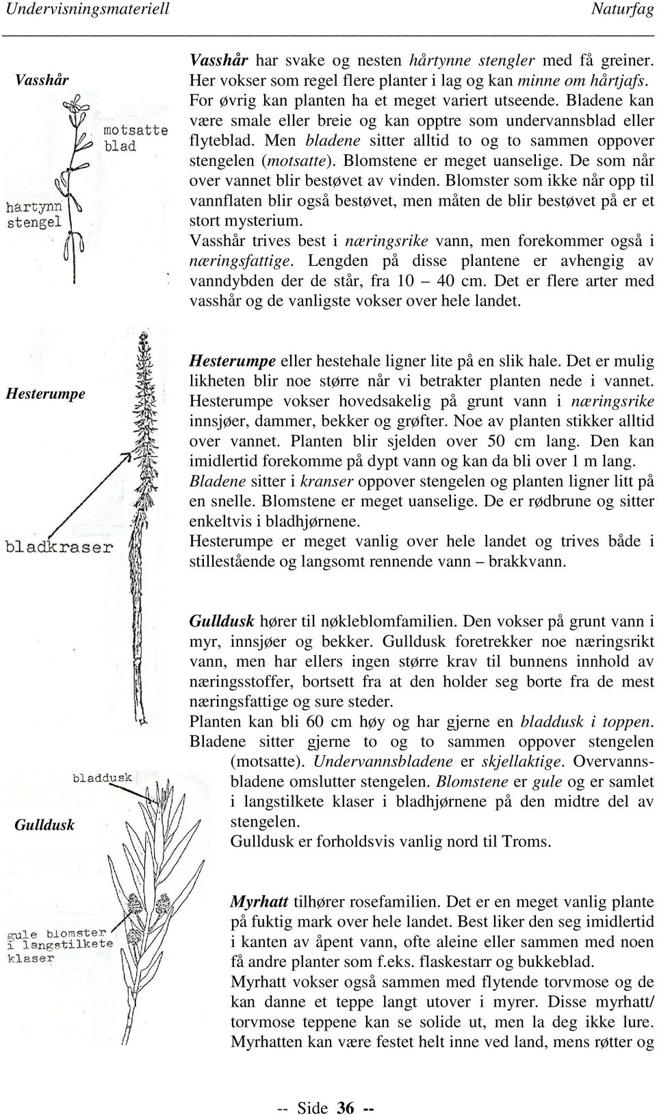 Men bladene sitter alltid to og to sammen oppover stengelen (motsatte). Blomstene er meget uanselige. De som når over vannet blir bestøvet av vinden.