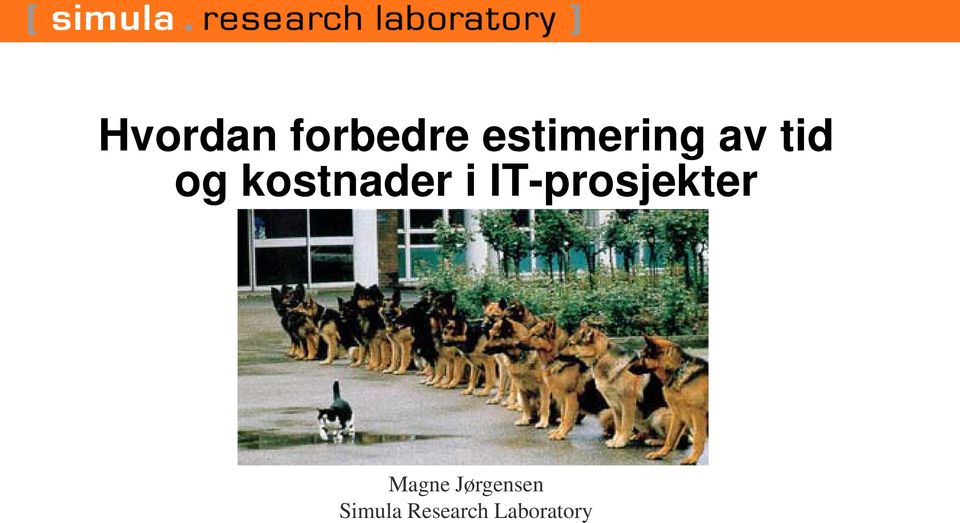 kostnader i IT-prosjekter