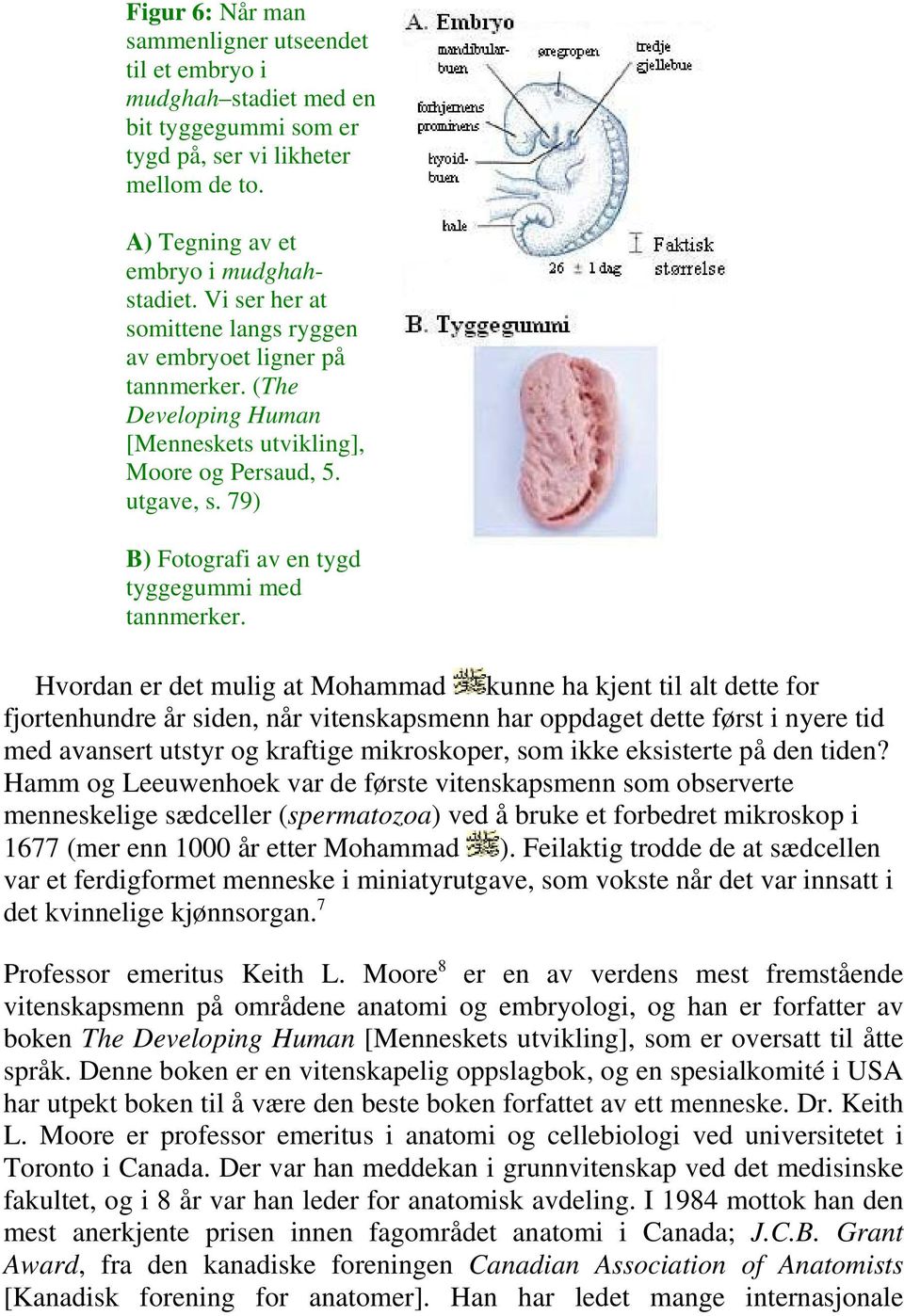 79) B) Fotografi av en tygd tyggegummi med tannmerker.