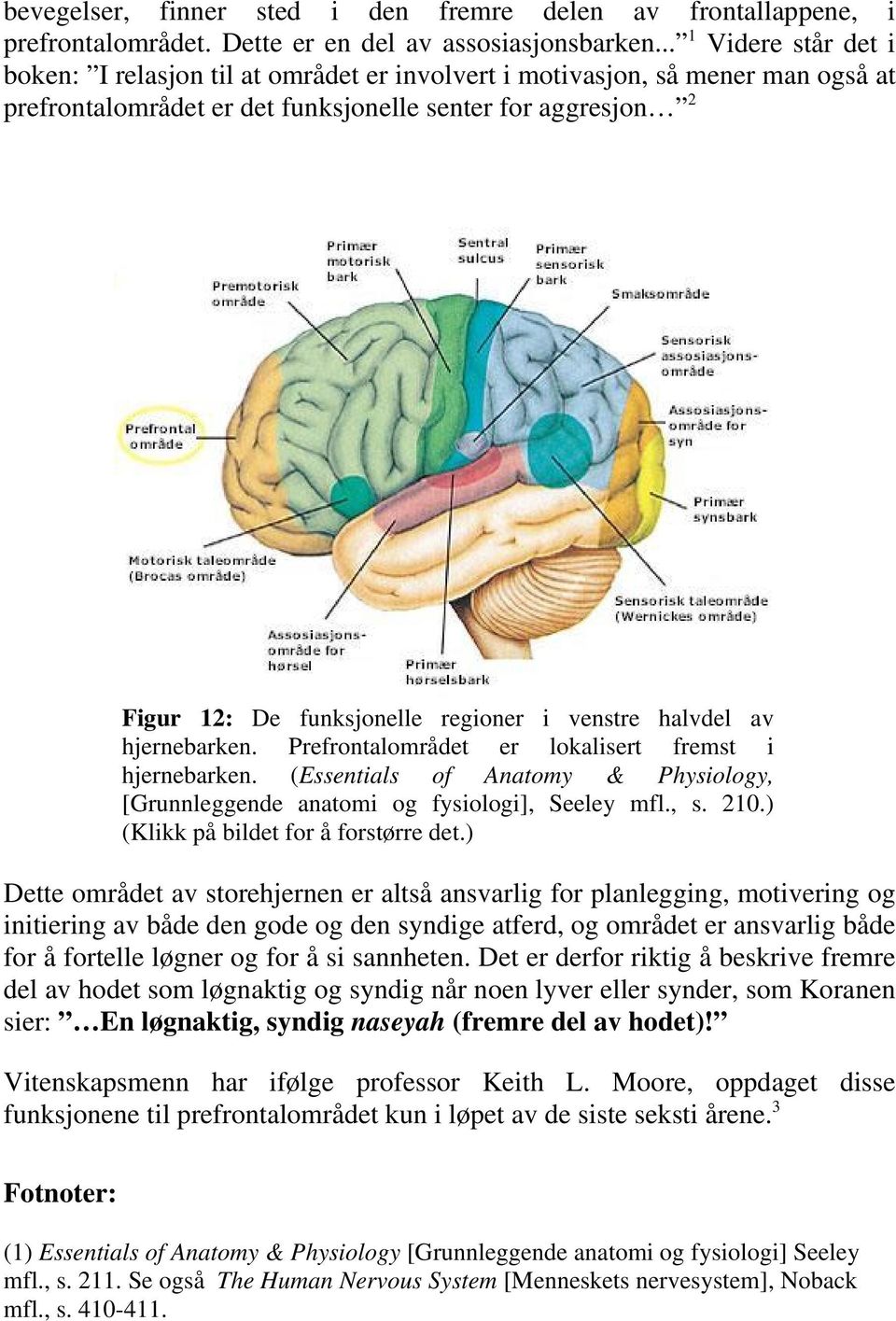 i venstre halvdel av hjernebarken. Prefrontalområdet er lokalisert fremst i hjernebarken. (Essentials of Anatomy & Physiology, [Grunnleggende anatomi og fysiologi], Seeley mfl., s. 210.