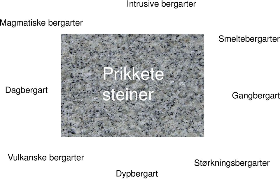 Prikkete steiner Gangbergart