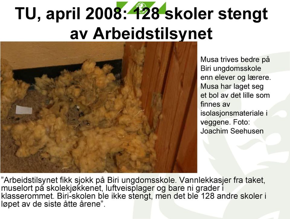 Foto: Joachim Seehusen Arbeidstilsynet fikk sjokk på Biri ungdomsskole.