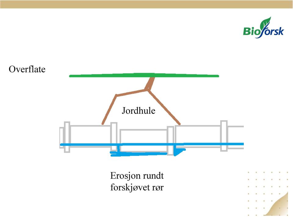 Erosjon