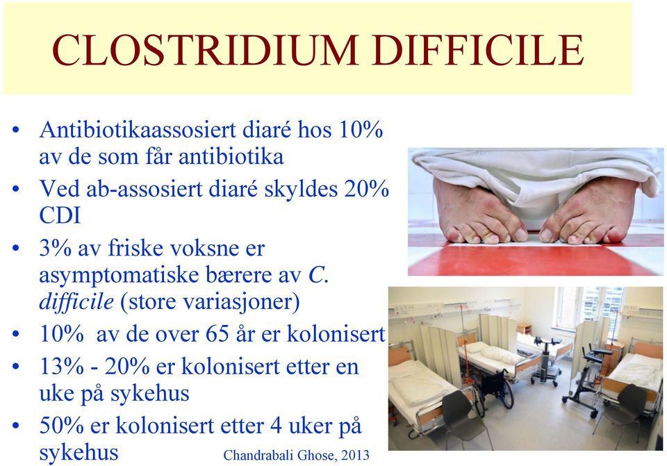 difficile (store variasjoner) 10% av de over 65 år er kolonisert 13% - 20% er