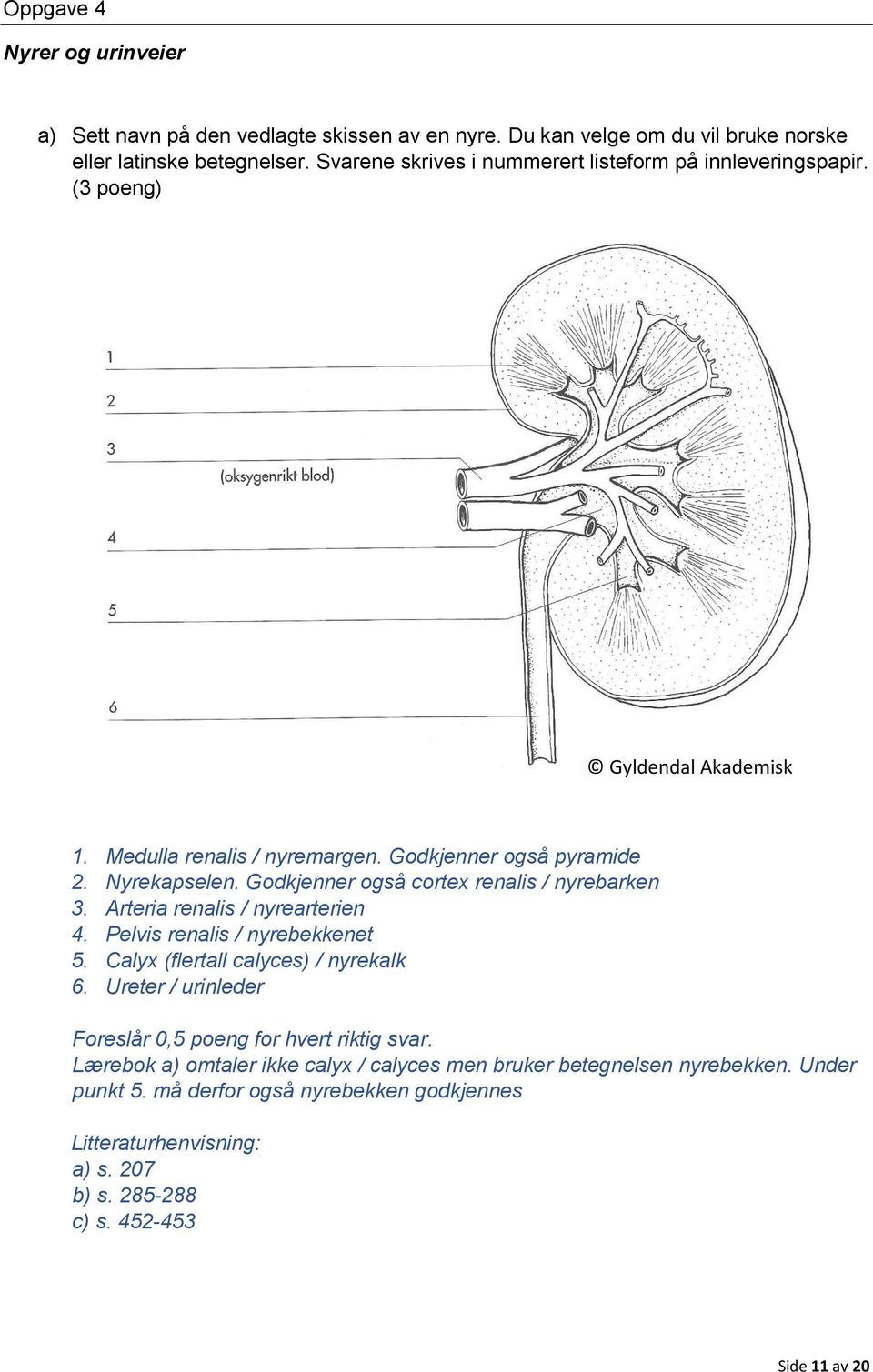 Godkjenner også cortex renalis / nyrebarken 3. Arteria renalis / nyrearterien 4. Pelvis renalis / nyrebekkenet 5. Calyx (flertall calyces) / nyrekalk 6.