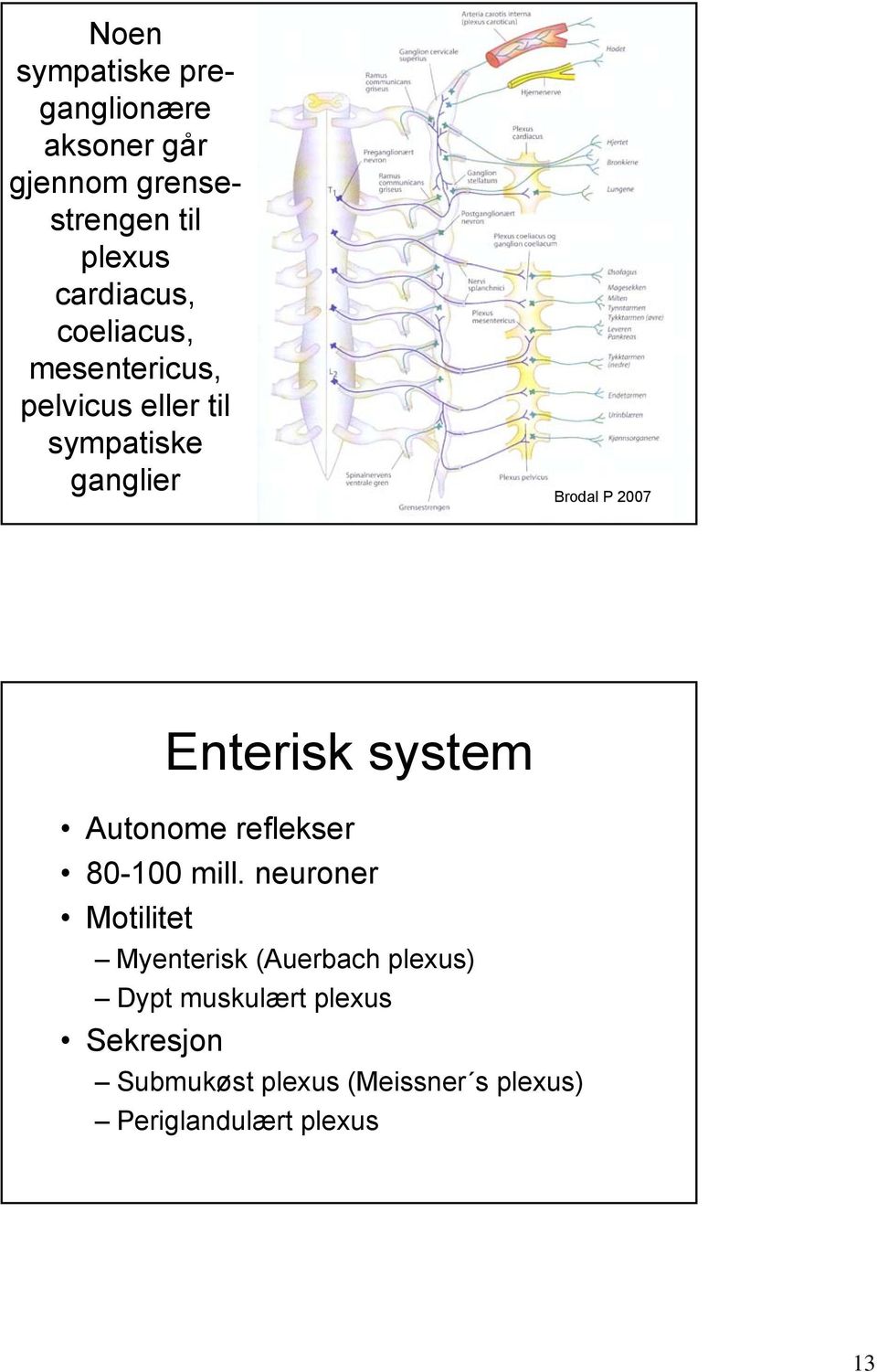 system Autonome reflekser 80-100 mill.