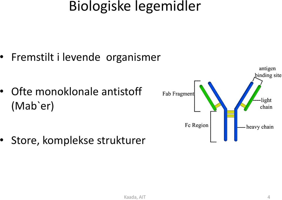 monoklonale antistoff (Mab`er)