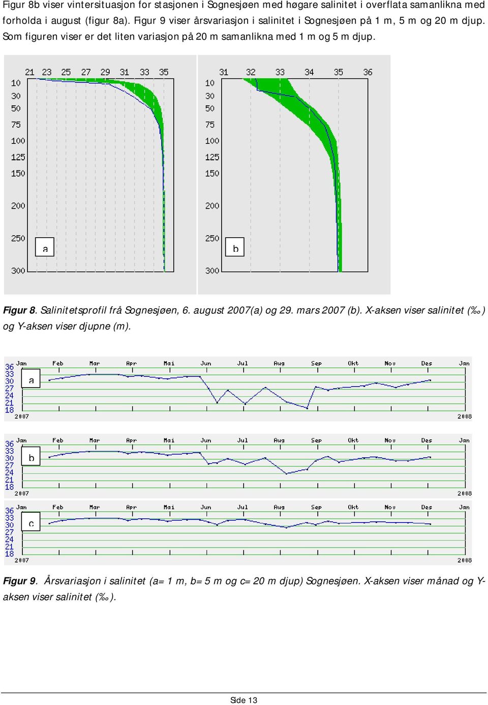 Som figuren viser er det liten variasjon på 20 m samanlikna med 1 m og 5 m djup. a b Figur 8. Salinitetsprofil frå Sognesjøen, 6.