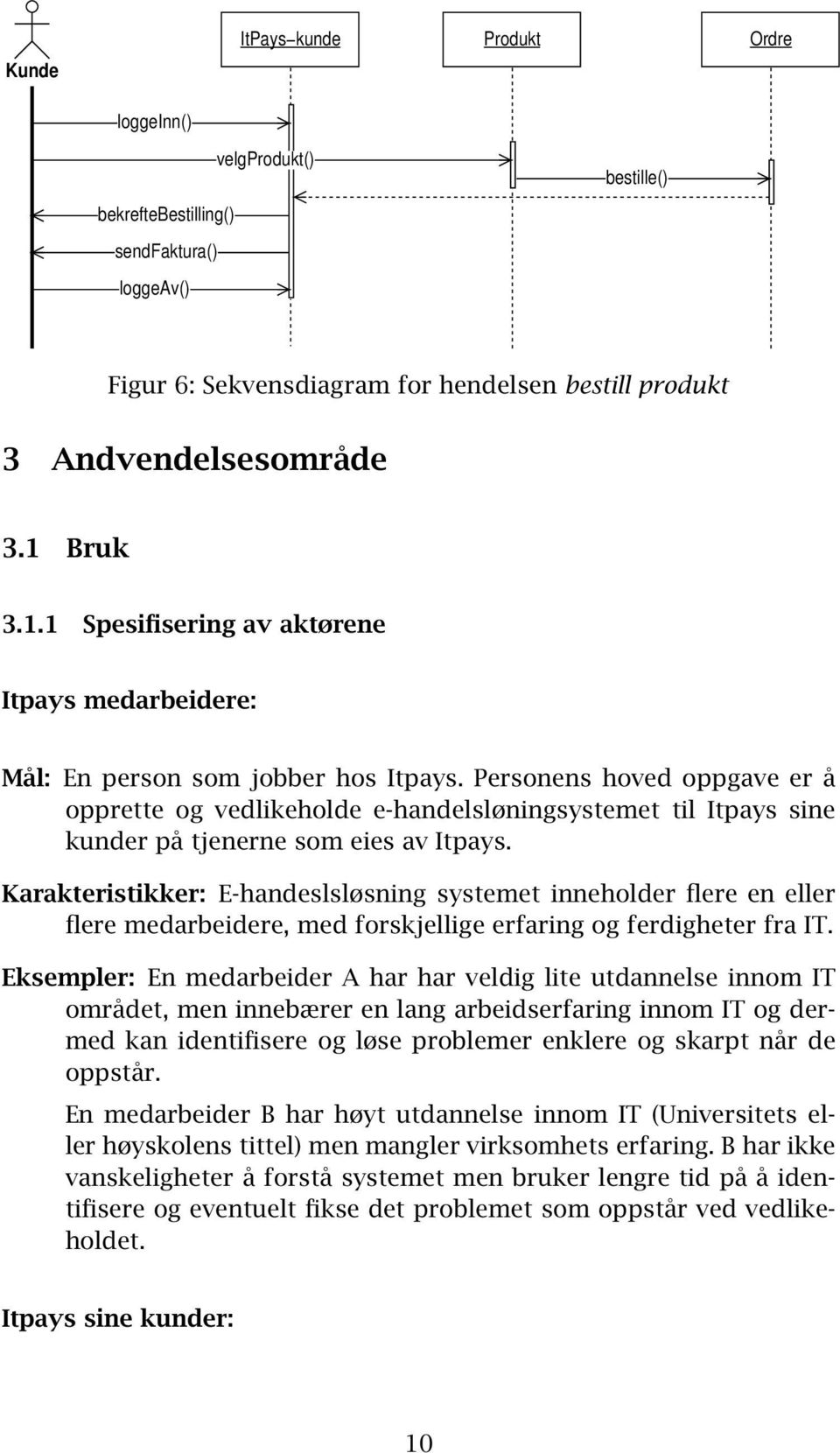 Personens hoved oppgave er å opprette og vedlikeholde e-handelsløningsystemet til Itpays sine kunder på tjenerne som eies av Itpays.