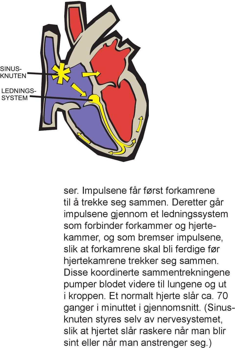 forkamrene skal bli ferdige før hjertekamrene trekker seg sammen.