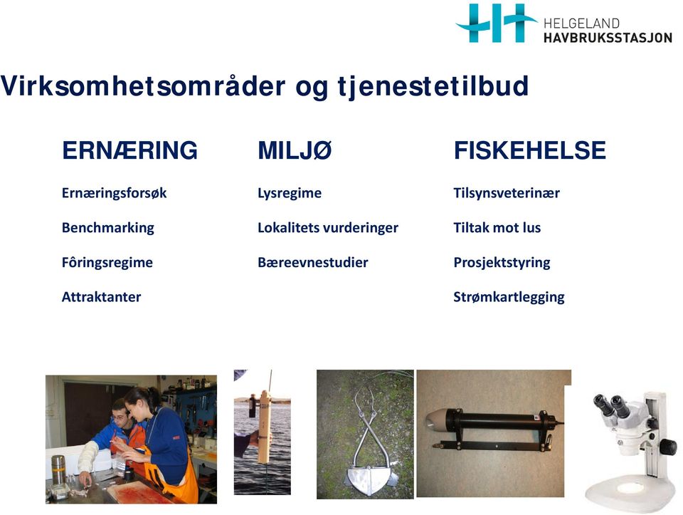 Benchmarking Lokalitets vurderinger Tiltak mot lus