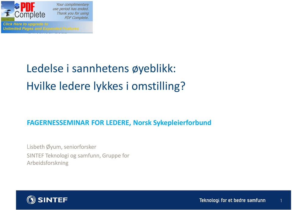 FAGERNESSEMINAR FOR LEDERE, Norsk Sykepleierforbund Lisbeth