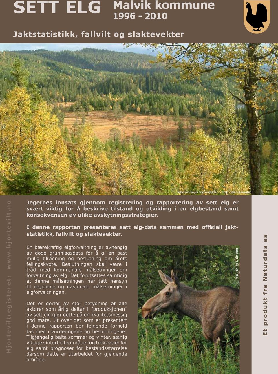 I denne rapporten presenteres sett elg-data sammen med offisiell jaktstatistikk, fallvilt og slaktevekter.