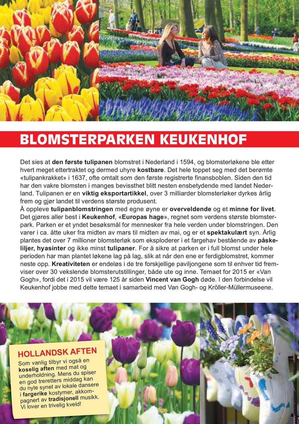 Siden den tid har den vakre blomsten i manges bevissthet blitt nesten ensbetydende med landet Nederland.