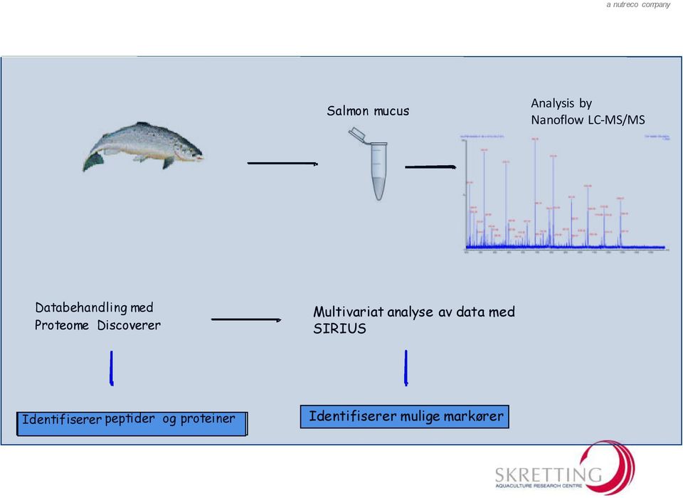 and proteins Multivariat analyse av data med SIRIUS