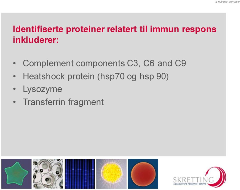 components C3, C6 and C9 Heatshock