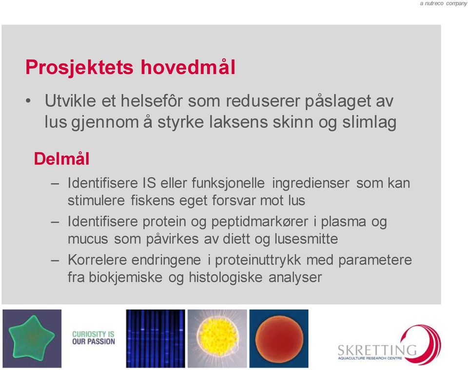 eget forsvar mot lus Identifisere protein og peptidmarkører i plasma og mucus som påvirkes av diett