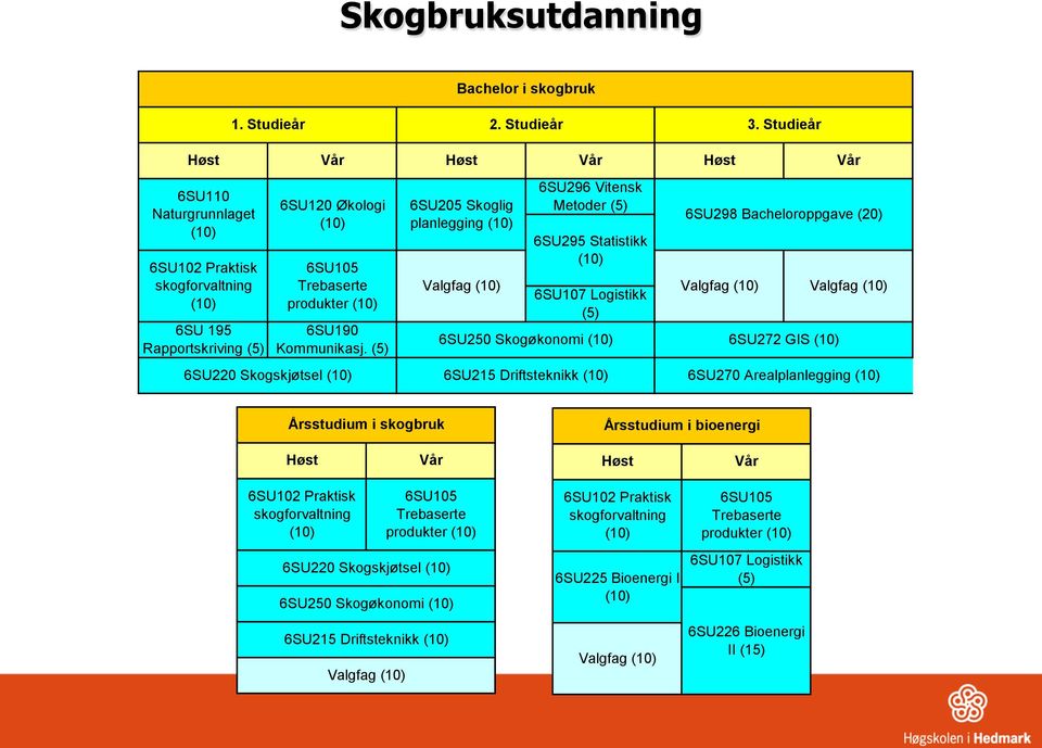 Studieår Høst Vår Høst Vår 6SU205 Skoglig planlegging Valgfag 6SU296 Vitensk Metoder (5) 6SU295 Statistikk 6SU107 Logistikk (5) 6SU215 Driftsteknikk Høst 6SU250 Skogøkonomi 6SU272 GIS Vår 6SU298