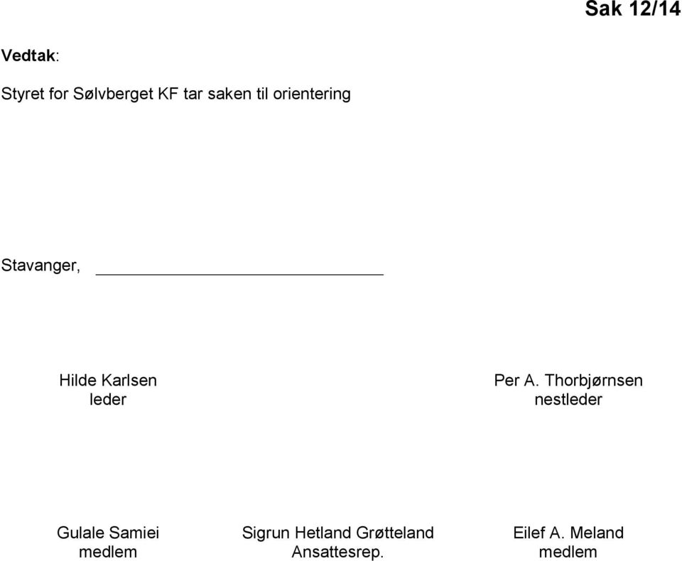 Thorbjørnsen nestleder Gulale Samiei medlem Sigrun