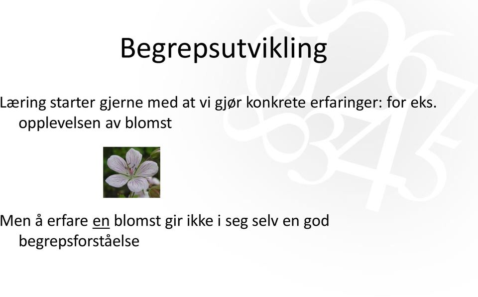 opplevelsen av blomst Men å erfare en