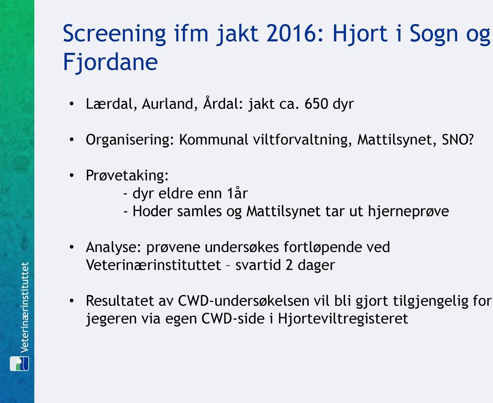 Prøvetaking: - dyr eldre enn 1år - Hoder samles og Mattilsynet tar ut hjerneprøve Analyse: prøvene