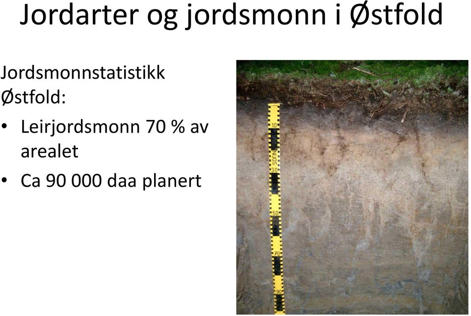 Østfold: Leirjordsmonn 70 %