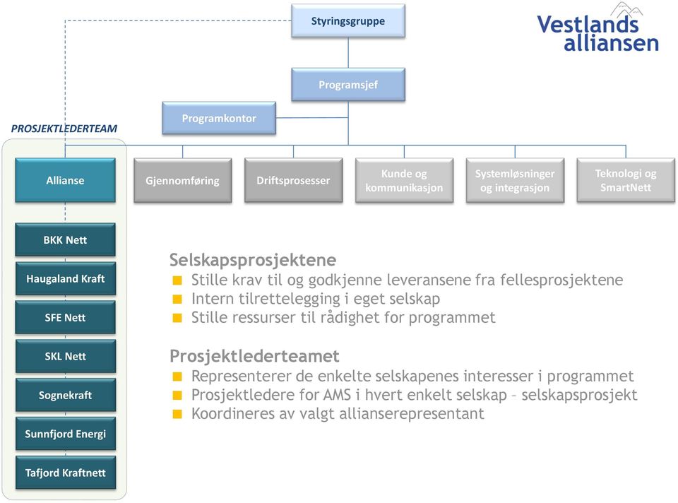 leveransene fra fellesprosjektene Intern tilrettelegging i eget selskap Stille ressurser til rådighet for programmet Prosjektlederteamet Representerer de