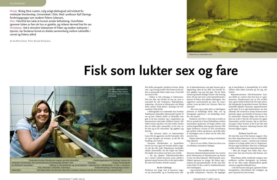 Hunnfisken ignorerer lukten av fare når hun er gyteklar, og risikerer dermed livet for sex.