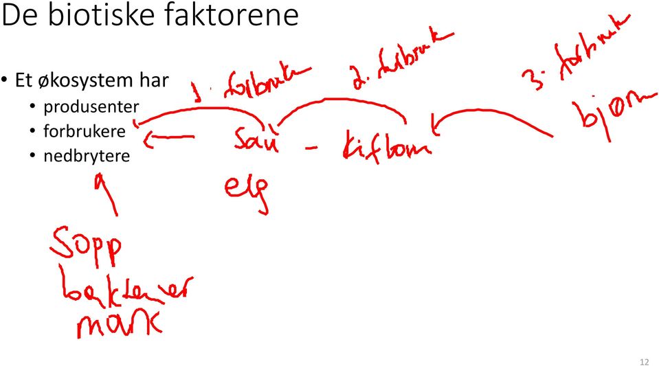 økosystem har