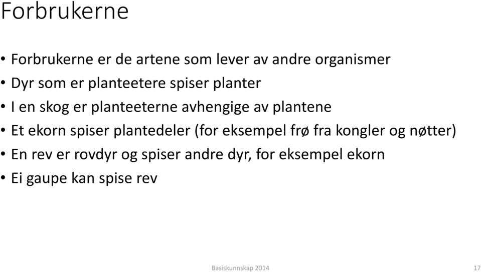 ekorn spiser plantedeler (for eksempel frø fra kongler og nøtter) En rev er