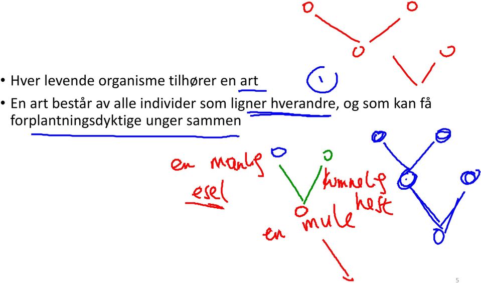 som ligner hverandre, og som kan få