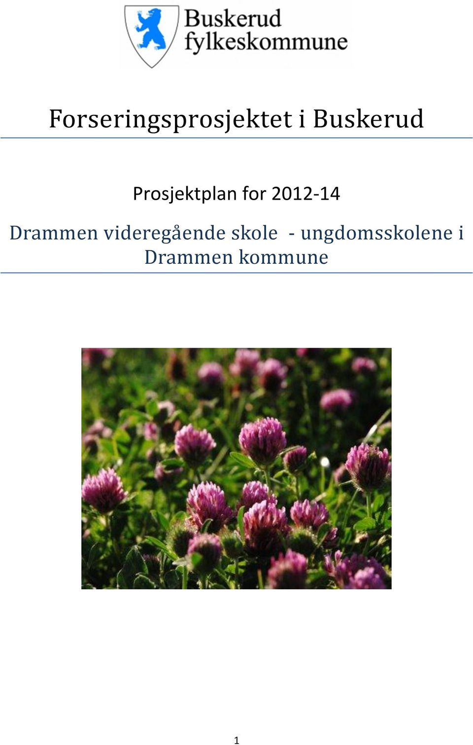 2012-14 Drammen viderega ende