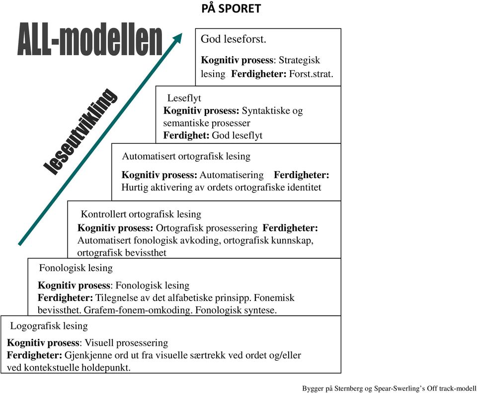 Kognitiv prosess: Automatisering Ferdigheter: Hurtig aktivering av ordets ortografiske identitet Kontrollert ortografisk lesing Kognitiv prosess: Ortografisk prosessering Ferdigheter: Automatisert