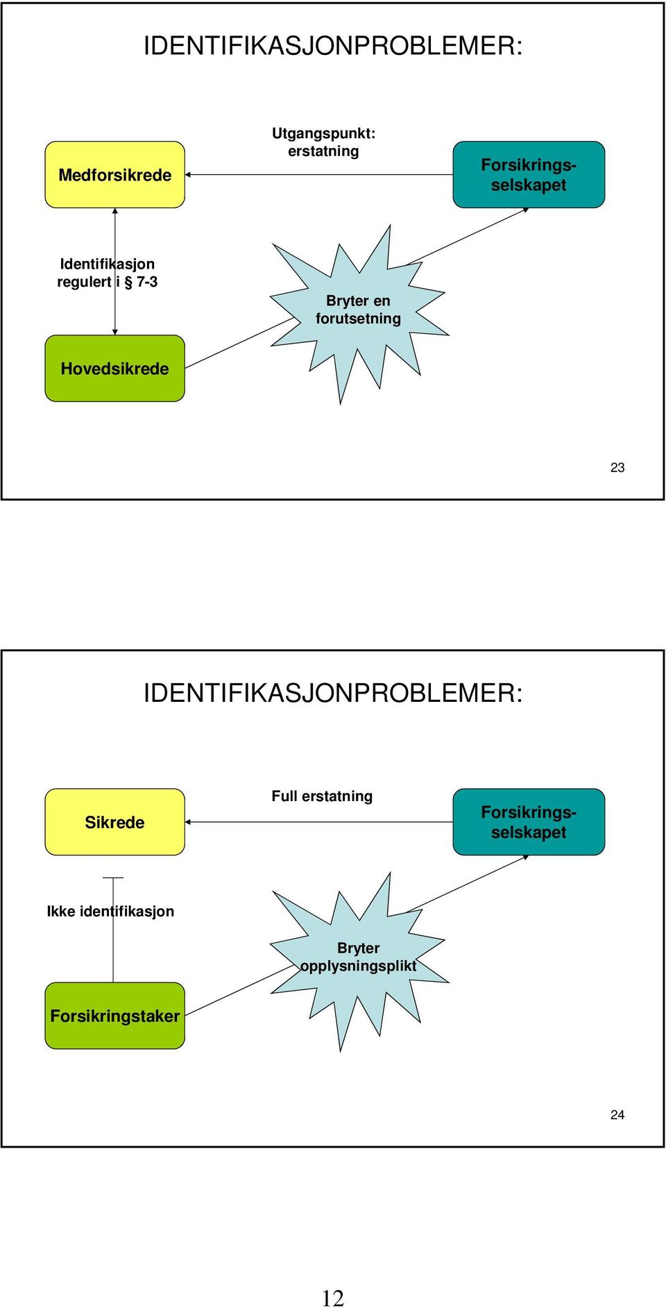 IDENTIFIKASJONPROBLEMER: Sikrede Full erstatning Forsikringsselskapet