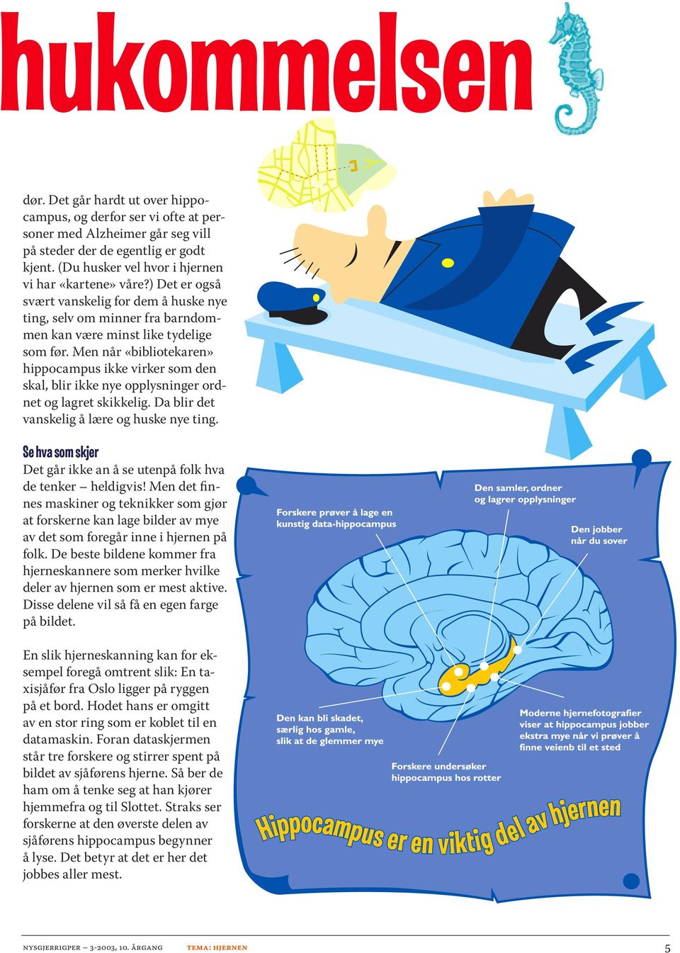 Men når «bibliotekaren» hippocampus ikke virker som den skal, blir ikke nye opplysninger ordnet og lagret skikkelig. Da blir det vanskelig å lære og huske nye ting.