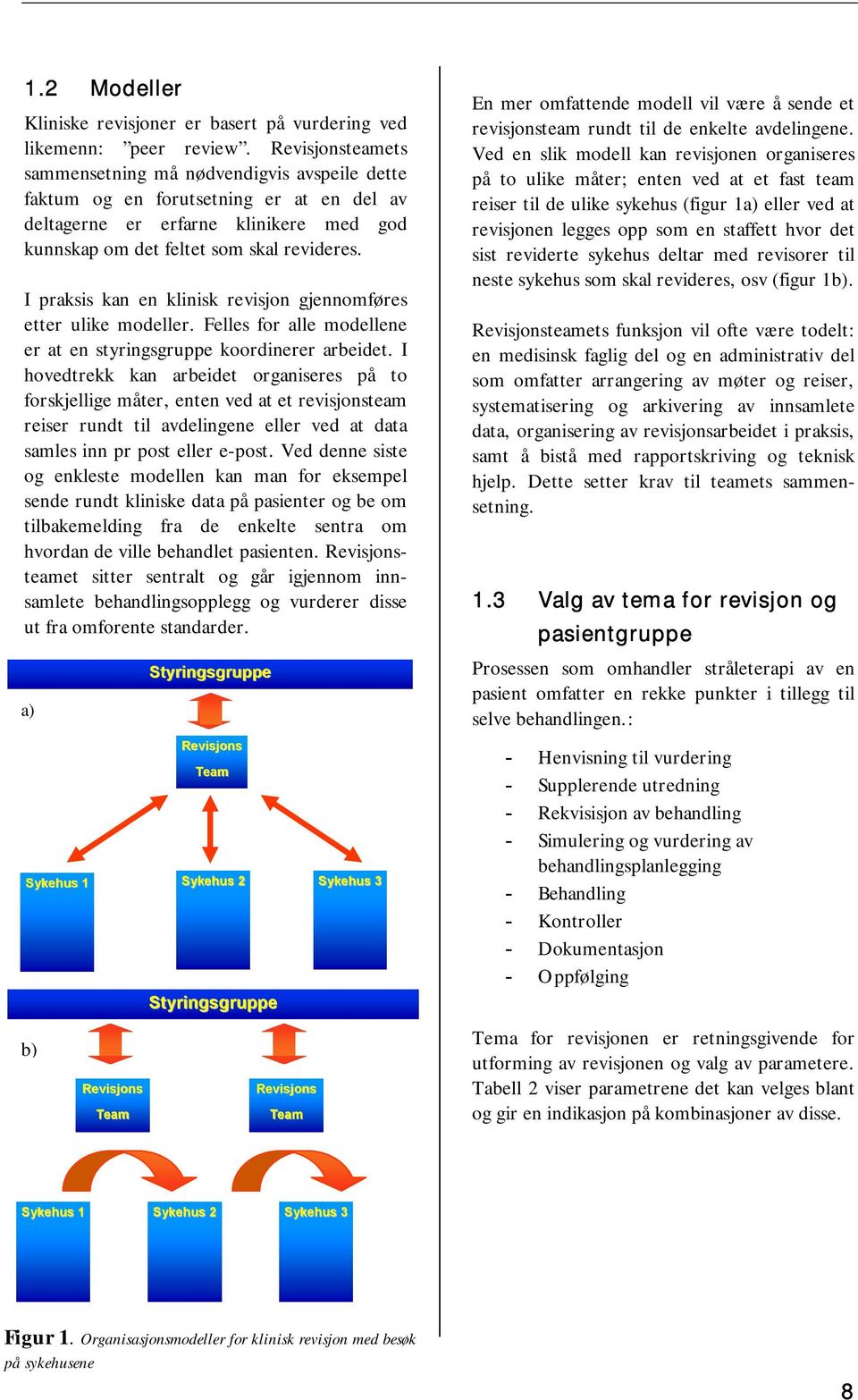 I praksis kan en klinisk revisjon gjennomføres etter ulike modeller. Felles for alle modellene er at en styringsgruppe koordinerer arbeidet.