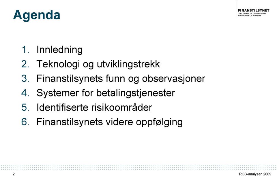 Finanstilsynets funn og observasjoner 4.