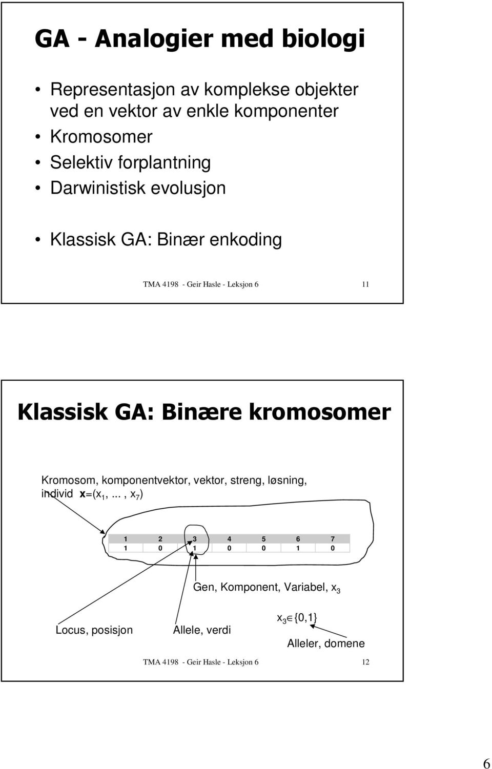 0&$*1 Kromosom, komponentvektor, vektor, streng, løsning, individ x=(x 1,.