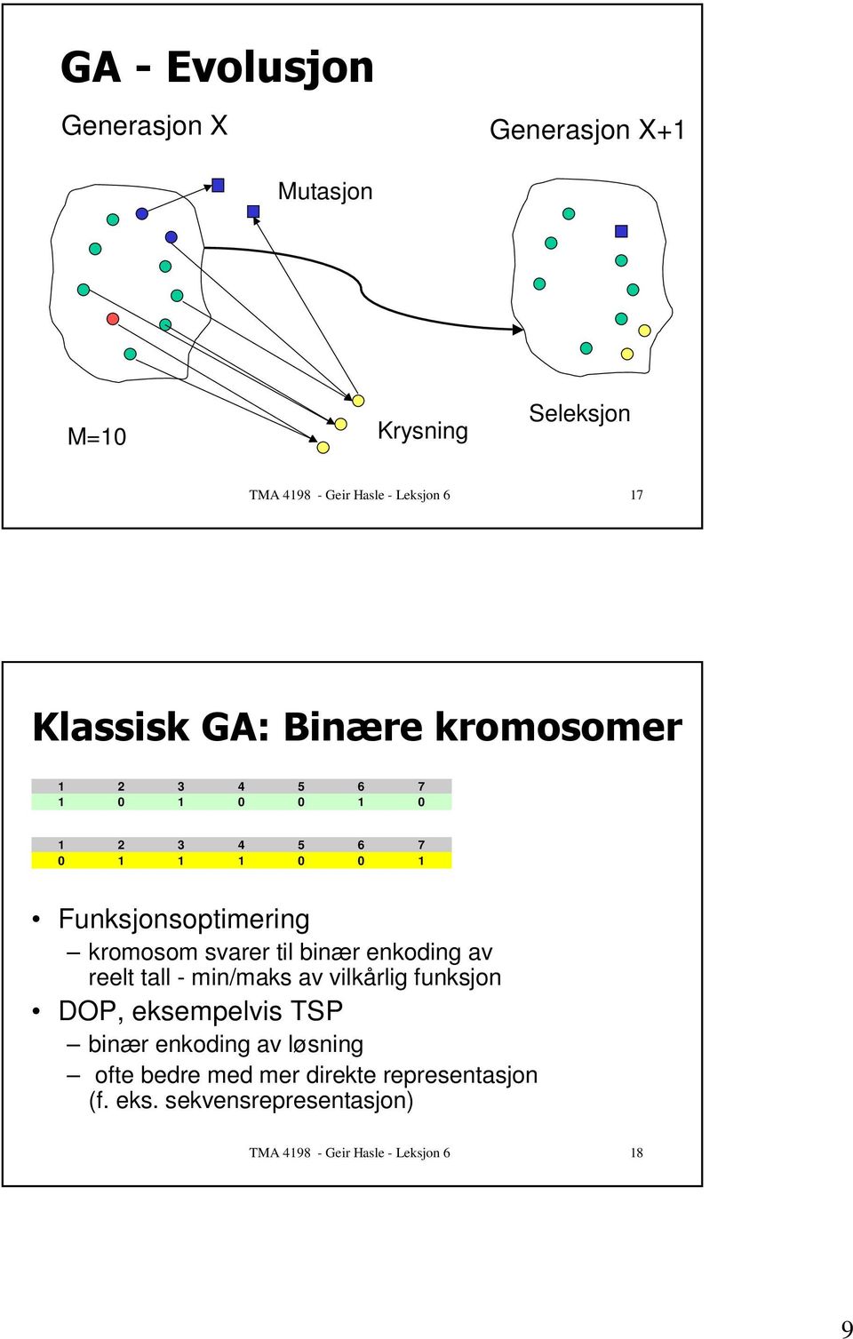 0&$*1 1 0 1 0 0 1 0 0 1 1 1 0 0 1 Funksjonsoptimering kromosom svarer til binær enkoding av reelt