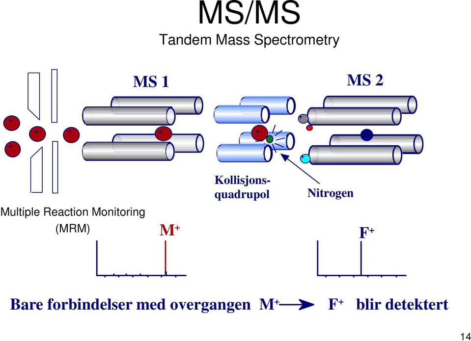 (MRM) Kollisjonsquadrupol Nitrogen M + F + Bare