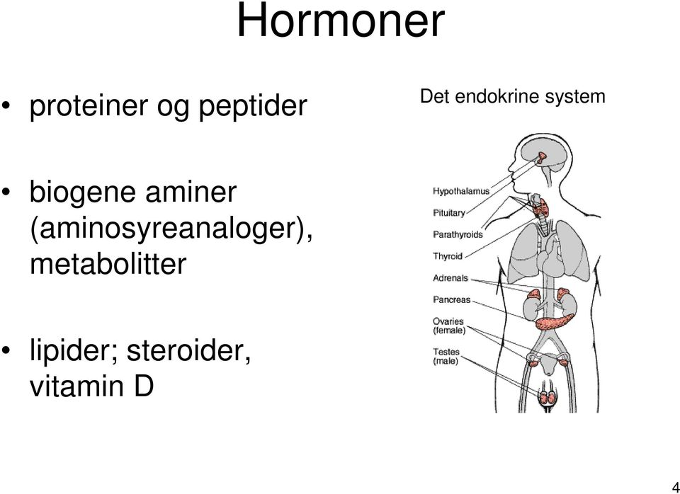 aminer (aminosyreanaloger),