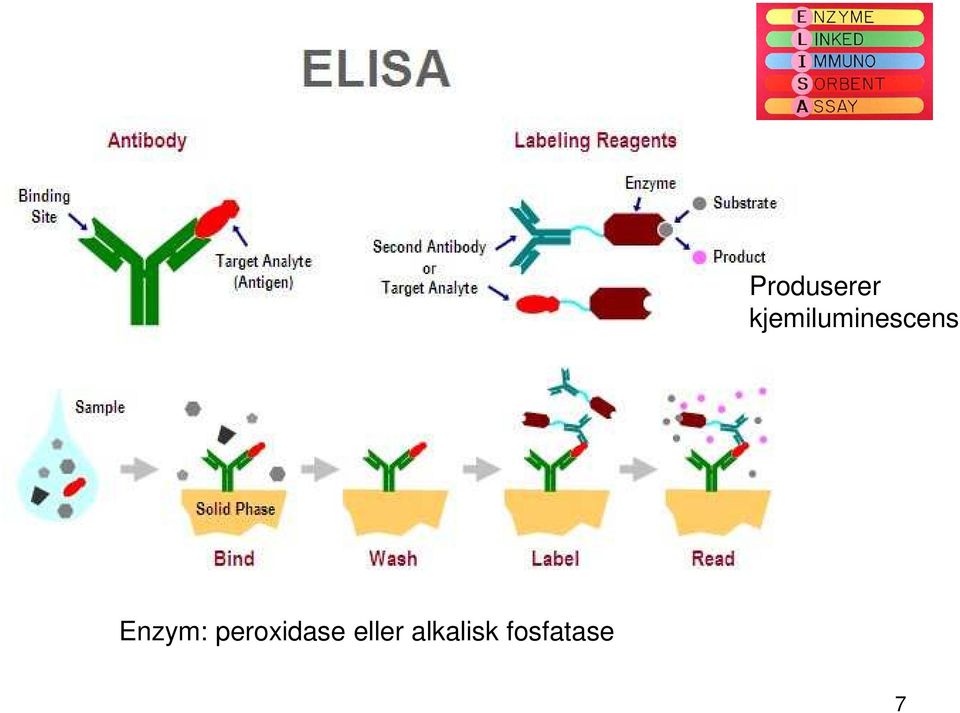 Enzym: peroxidase