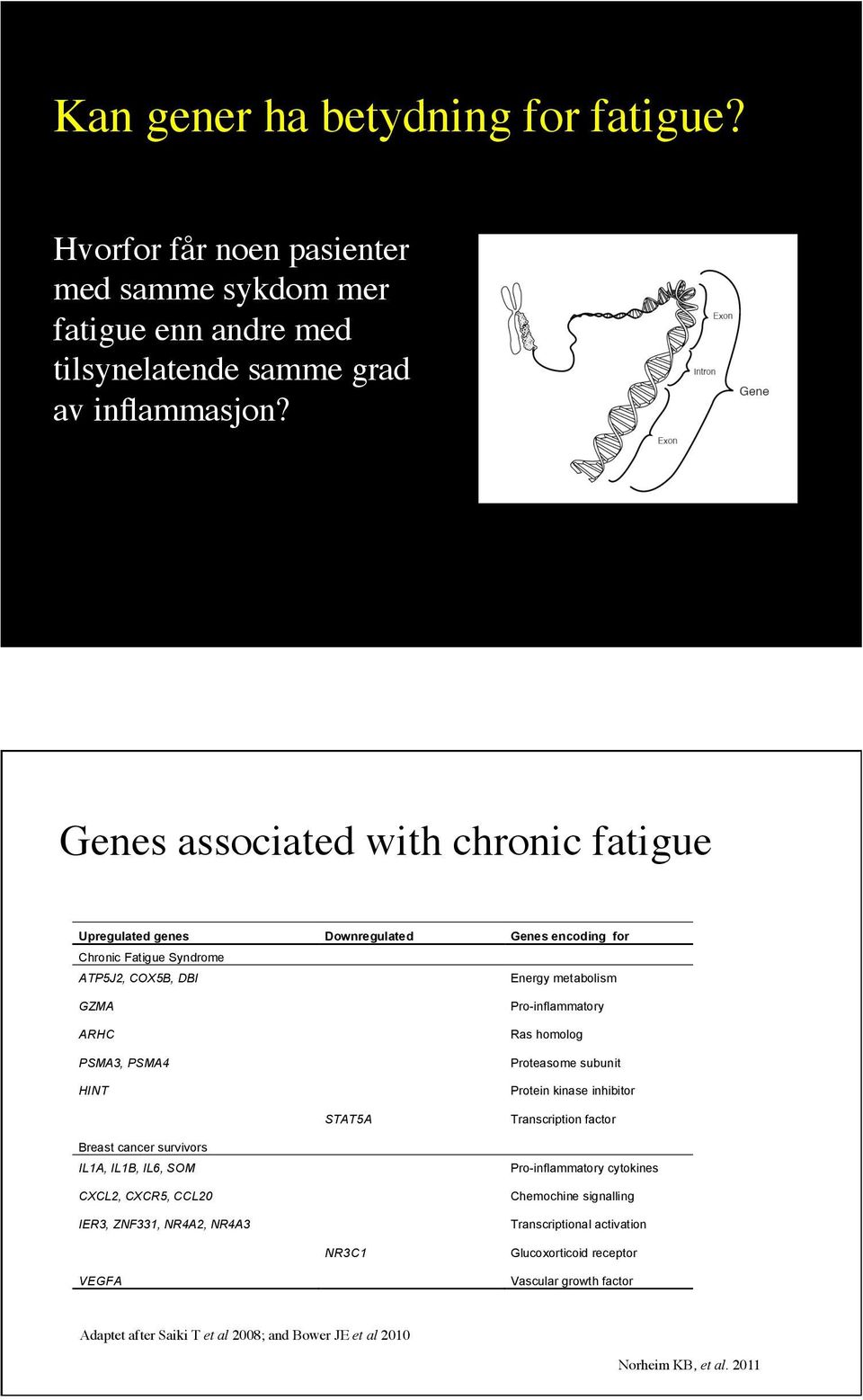 Pro-inflammatory Ras homolog Proteasome subunit Protein kinase inhibitor STAT5A Transcription factor Breast cancer survivors IL1A, IL1B, IL6, SOM CXCL2, CXCR5, CCL20 IER3, ZNF331,